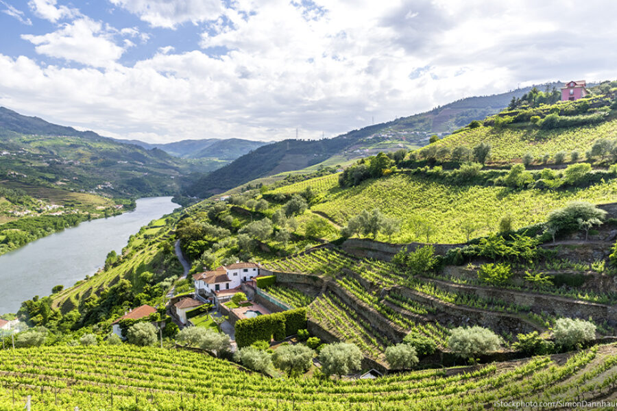 Wissenswertes über den portugiesischen Weinbau